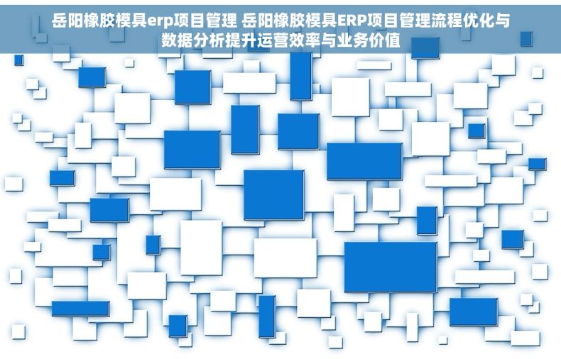 岳阳橡胶模具erp项目管理 岳阳橡胶模具ERP项目管理流程优化与数据分析提升运营效率与业务价值