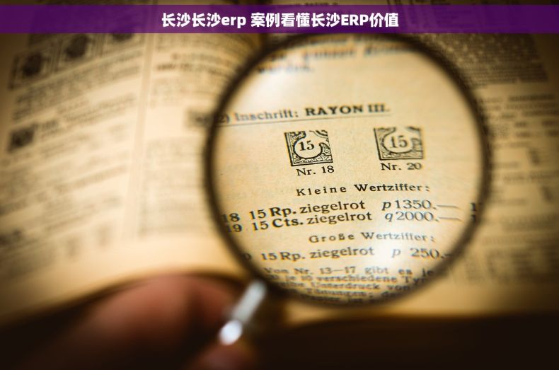 长沙长沙erp 案例看懂长沙ERP价值