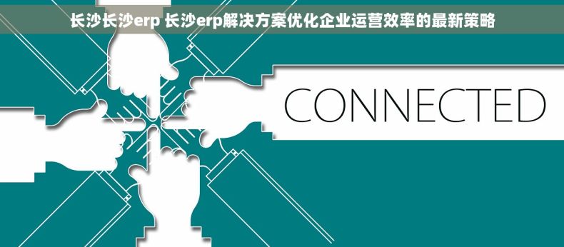 长沙长沙erp 长沙erp解决方案优化企业运营效率的最新策略