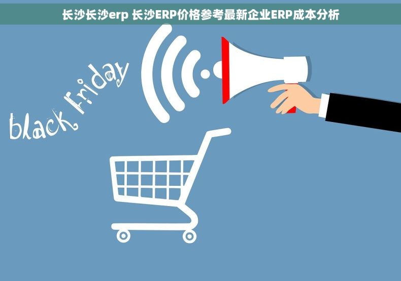 长沙长沙erp 长沙ERP价格参考最新企业ERP成本分析