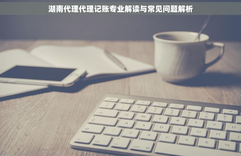湖南代理代理记账专业解读与常见问题解析 湖南代理代理记账专业解读与常见问题解析