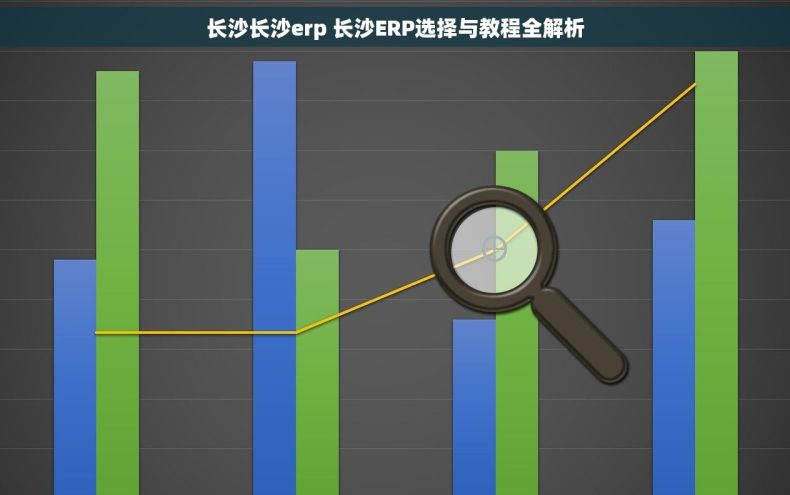长沙长沙erp 长沙ERP选择与教程全解析