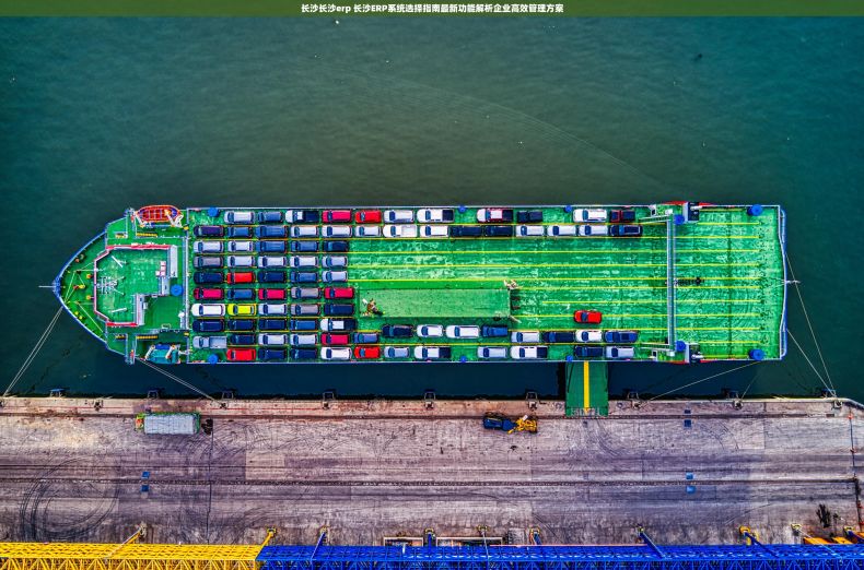 长沙长沙erp 长沙ERP系统选择指南最新功能解析企业高效管理方案