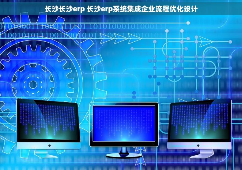 长沙长沙erp 长沙erp系统集成企业流程优化设计