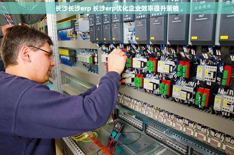 长沙长沙erp 长沙erp优化企业效率提升策略
