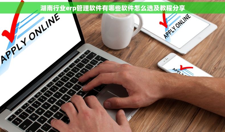湖南行业erp管理软件有哪些软件怎么选及教程分享