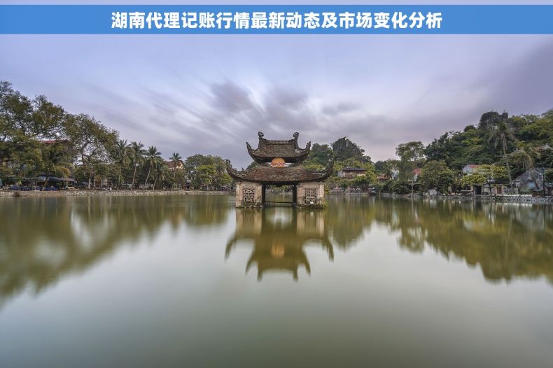 湖南代理记账行情最新动态及市场变化分析 湖南代理记账行情最新动态及市场变化分析