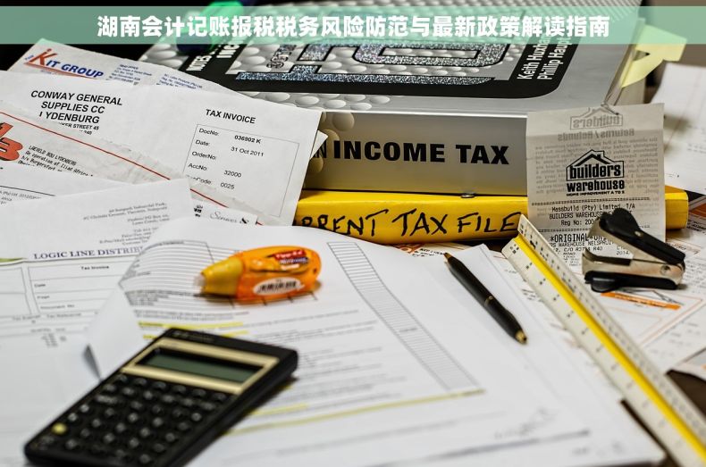 湖南会计记账报税税务风险防范与最新政策解读指南 湖南会计记账报税税务风险防范与最新政策解读指南