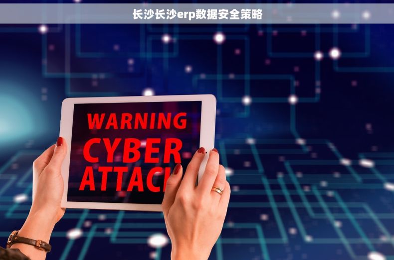 长沙长沙erp数据安全策略