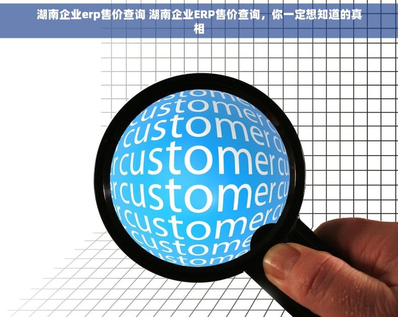 湖南企业erp售价查询 湖南企业ERP售价查询，你一定想知道的真相