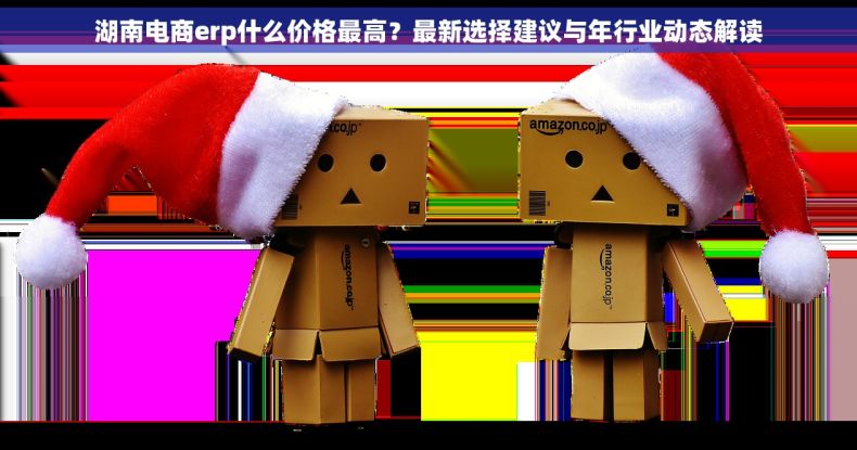 湖南电商erp什么价格最高?最新选择建议与年行业动态解读 湖南电商erp什么价格最高?最新选择建议与年行业动态解读