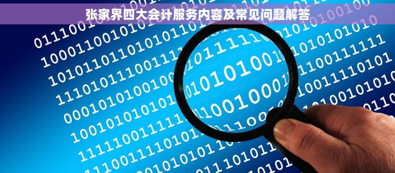 张家界四大会计服务内容及常见问题解答 张家界四大会计服务内容及常见问题解答