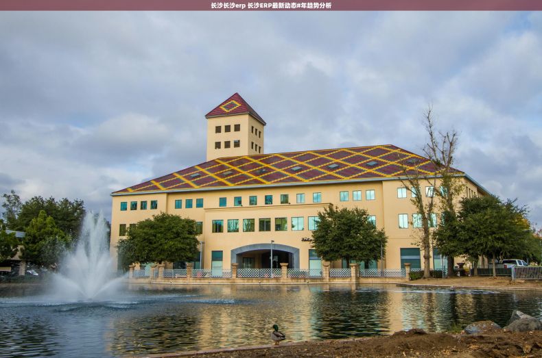 长沙长沙erp 长沙ERP最新动态#年趋势分析 长沙长沙erp 长沙ERP最新动态#年趋势分析