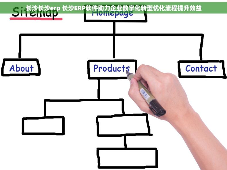 长沙长沙erp 长沙ERP软件助力企业数字化转型优化流程提升效益
