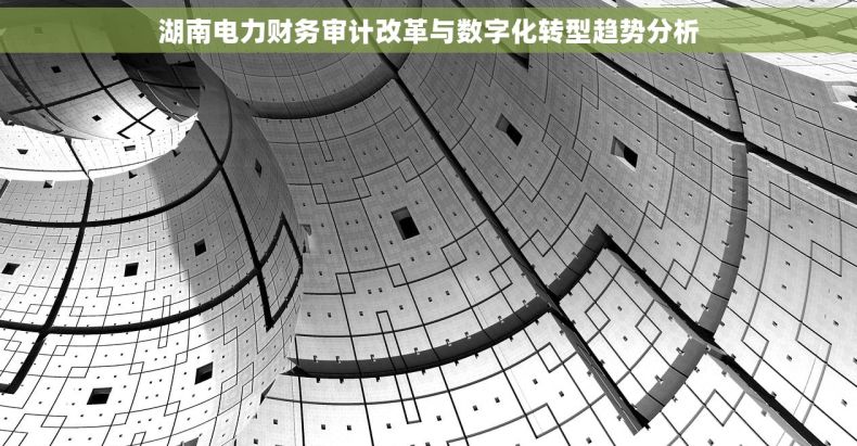 湖南电力财务审计改革与数字化转型趋势分析 湖南电力财务审计改革与数字化转型趋势分析