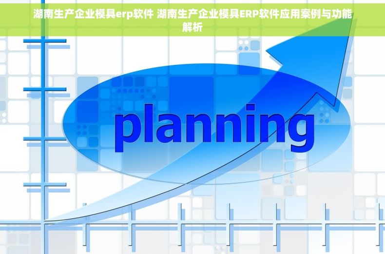 湖南生产企业模具erp软件 湖南生产企业模具ERP软件应用案例与功能解析