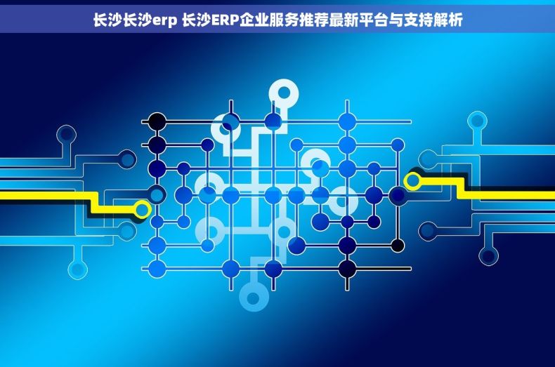 长沙长沙erp 长沙ERP企业服务推荐最新平台与支持解析 长沙长沙erp 长沙ERP企业服务推荐最新平台与支持解析