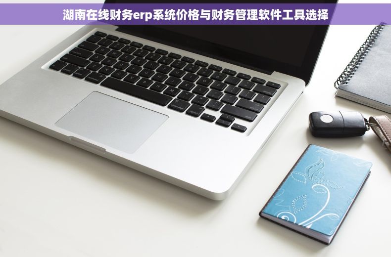 湖南在线财务erp系统价格与财务管理软件工具选择 湖南在线财务erp系统价格与财务管理软件工具选择