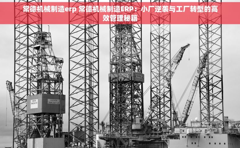 常德机械制造erp 常德机械制造ERP:小厂逆袭与工厂转型的高效管理秘籍 常德机械制造erp 常德机械制造ERP:小厂逆袭与工厂转型的高效管理秘籍
