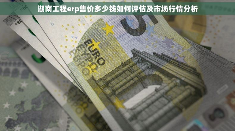 湖南工程erp售价多少钱如何评估及市场行情分析 湖南工程erp售价多少钱如何评估及市场行情分析