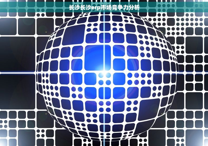 长沙长沙erp市场竞争力分析