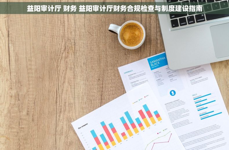 益阳审计厅 财务 益阳审计厅财务合规检查与制度建设指南 益阳审计厅 财务 益阳审计厅财务合规检查与制度建设指南
