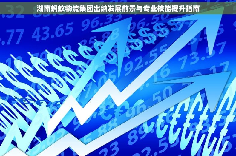 湖南蚂蚁物流集团出纳发展前景与专业技能提升指南