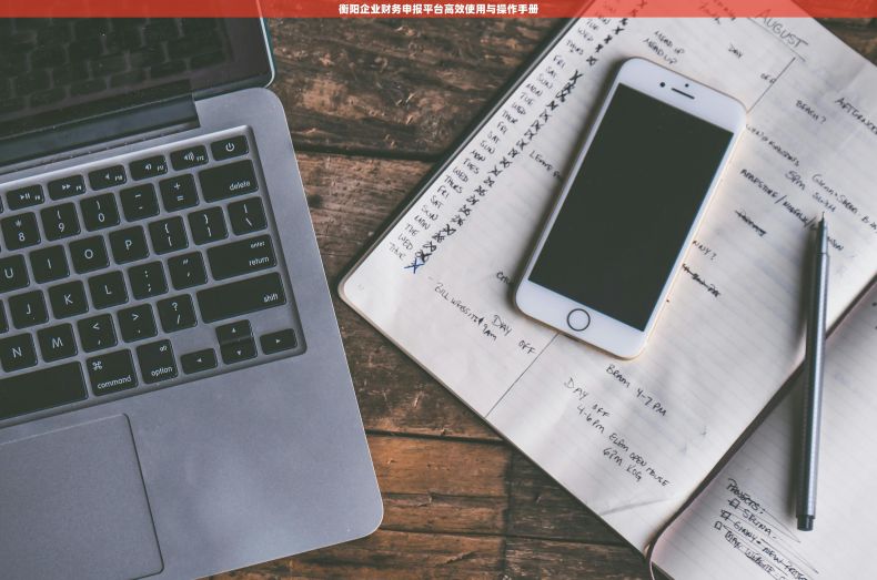 衡阳企业财务申报平台高效使用与操作手册 衡阳企业财务申报平台高效使用与操作手册