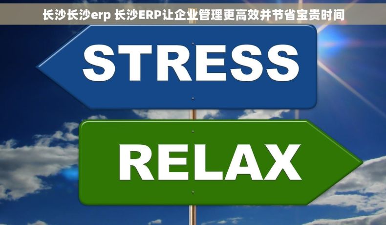长沙长沙erp 长沙ERP让企业管理更高效并节省宝贵时间