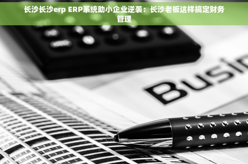 长沙长沙erp ERP系统助小企业逆袭:长沙老板这样搞定财务管理 长沙长沙erp ERP系统助小企业逆袭:长沙老板这样搞定财务管理