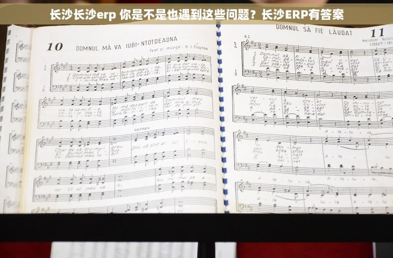 长沙长沙erp 你是不是也遇到这些问题?长沙ERP有答案 长沙长沙erp 你是不是也遇到这些问题?长沙ERP有答案