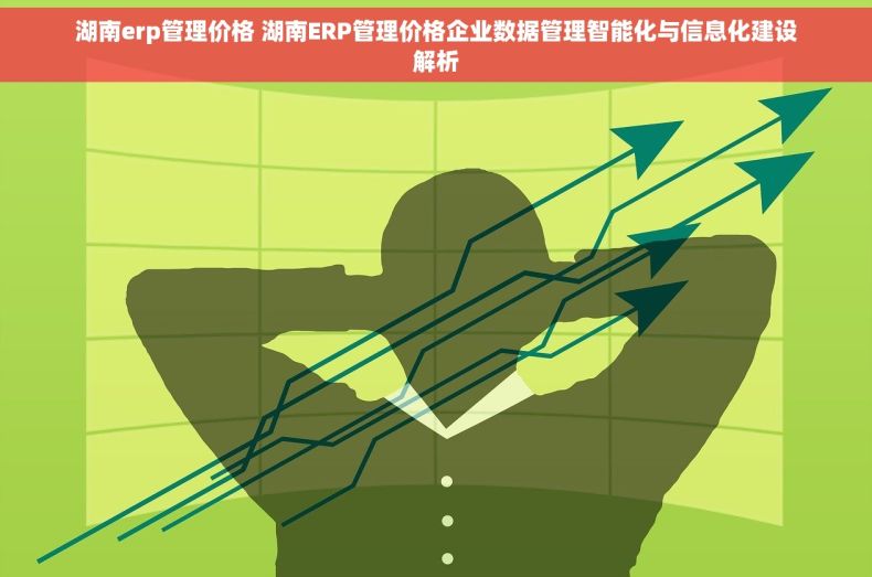 湖南erp管理价格 湖南ERP管理价格企业数据管理智能化与信息化建设解析