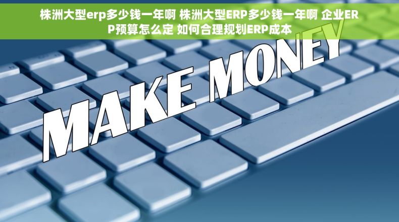 株洲大型erp多少钱一年啊 株洲大型ERP多少钱一年啊 企业ERP预算怎么定 如何合理规划ERP成本 株洲大型erp多少钱一年啊 株洲大型ERP多少钱一年啊 企业ERP预算怎么定 如何合理规划ERP成本
