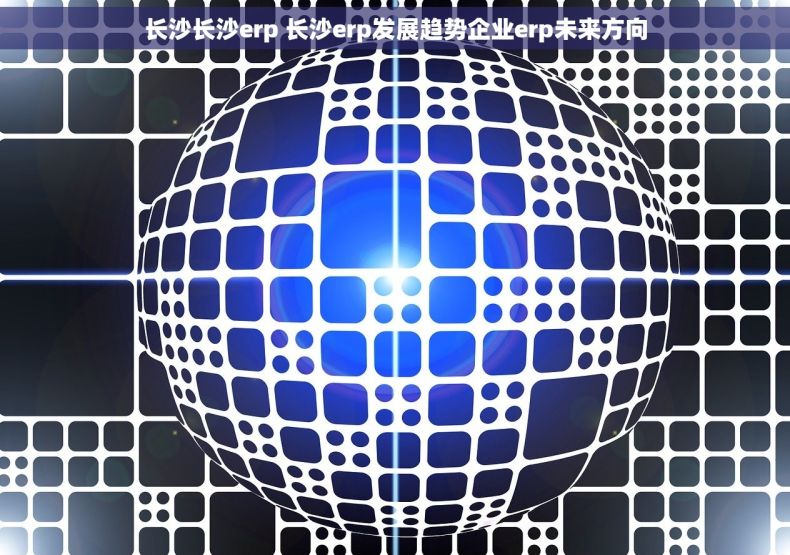 长沙长沙erp 长沙erp发展趋势企业erp未来方向
