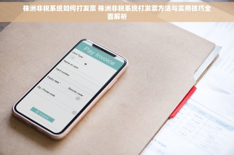 株洲非税系统如何打发票 株洲非税系统打发票方法与实用技巧全面解析