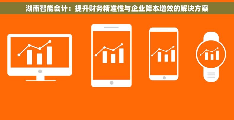 湖南智能会计：提升财务精准性与企业降本增效的解决方案