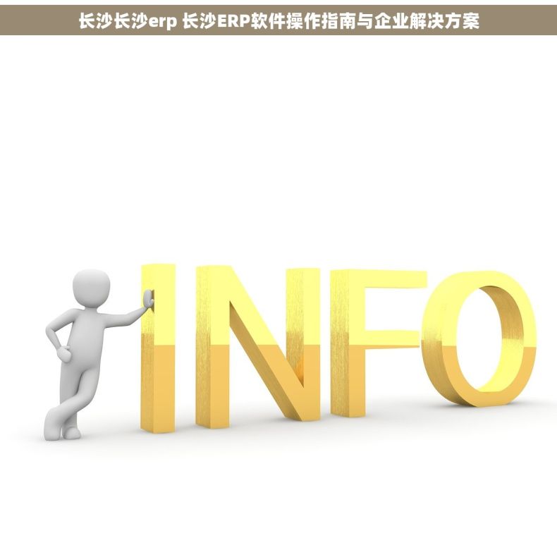 长沙长沙erp 长沙ERP软件操作指南与企业解决方案 长沙长沙erp 长沙ERP软件操作指南与企业解决方案