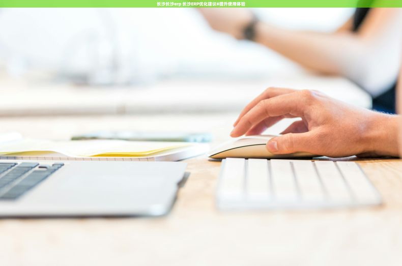 长沙长沙erp 长沙ERP优化建议#提升使用体验 长沙长沙erp 长沙ERP优化建议#提升使用体验