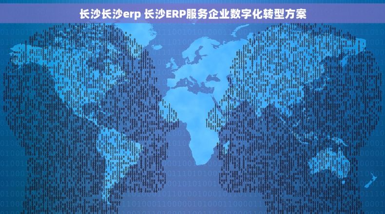 长沙长沙erp 长沙ERP服务企业数字化转型方案 长沙长沙erp 长沙ERP服务企业数字化转型方案
