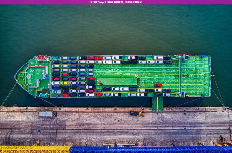 长沙长沙erp 长沙ERP系统推荐,助力企业数字化 长沙长沙erp 长沙ERP系统推荐,助力企业数字化