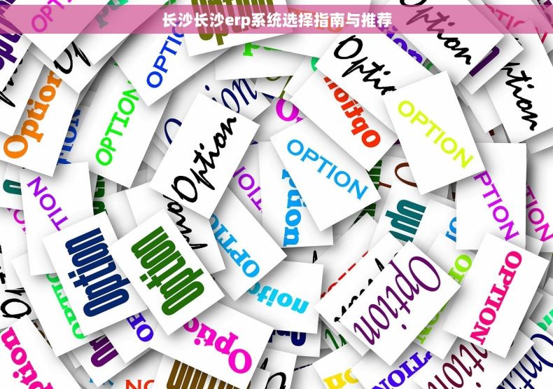 长沙长沙erp系统选择指南与推荐 长沙长沙erp系统选择指南与推荐