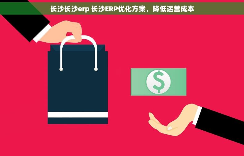 长沙长沙erp 长沙ERP优化方案,降低运营成本 长沙长沙erp 长沙ERP优化方案,降低运营成本