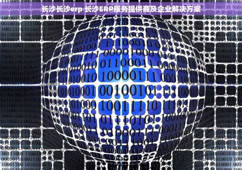 长沙长沙erp 长沙ERP服务提供商及企业解决方案