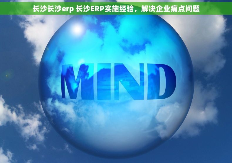 长沙长沙erp 长沙ERP实施经验,解决企业痛点问题 长沙长沙erp 长沙ERP实施经验,解决企业痛点问题