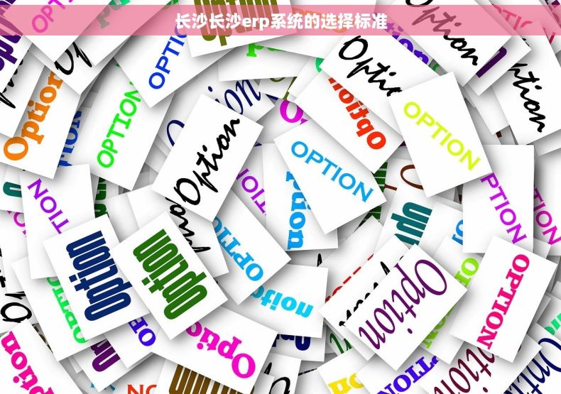 长沙长沙erp系统的选择标准 长沙长沙erp系统的选择标准
