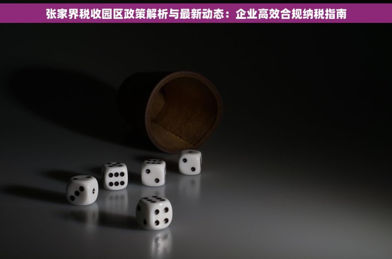 张家界税收园区政策解析与最新动态：企业高效合规纳税指南