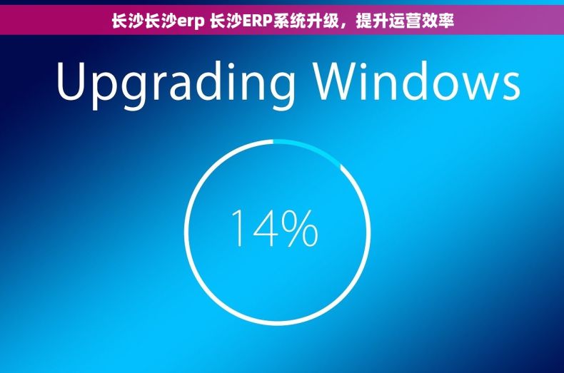 长沙长沙erp 长沙ERP系统升级,提升运营效率 长沙长沙erp 长沙ERP系统升级,提升运营效率