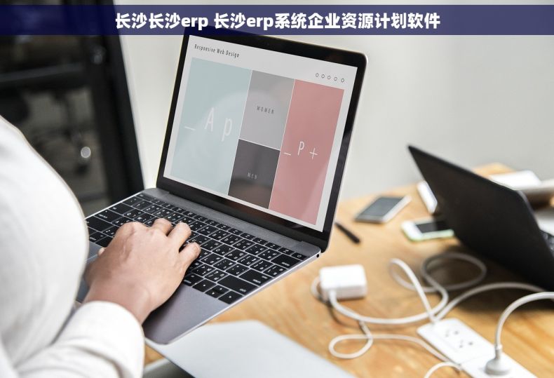 长沙长沙erp 长沙erp系统企业资源计划软件
