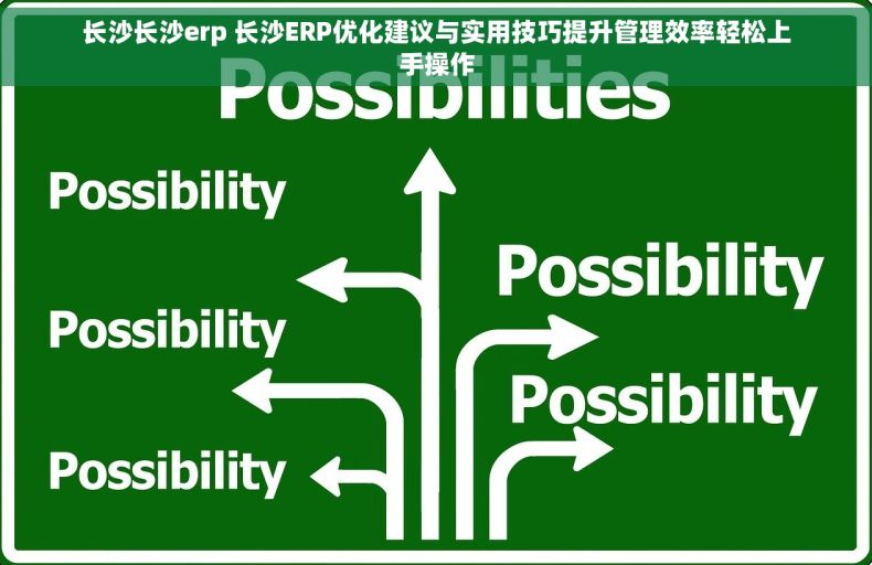 长沙长沙erp 长沙ERP优化建议与实用技巧提升管理效率轻松上手操作 长沙长沙erp 长沙ERP优化建议与实用技巧提升管理效率轻松上手操作