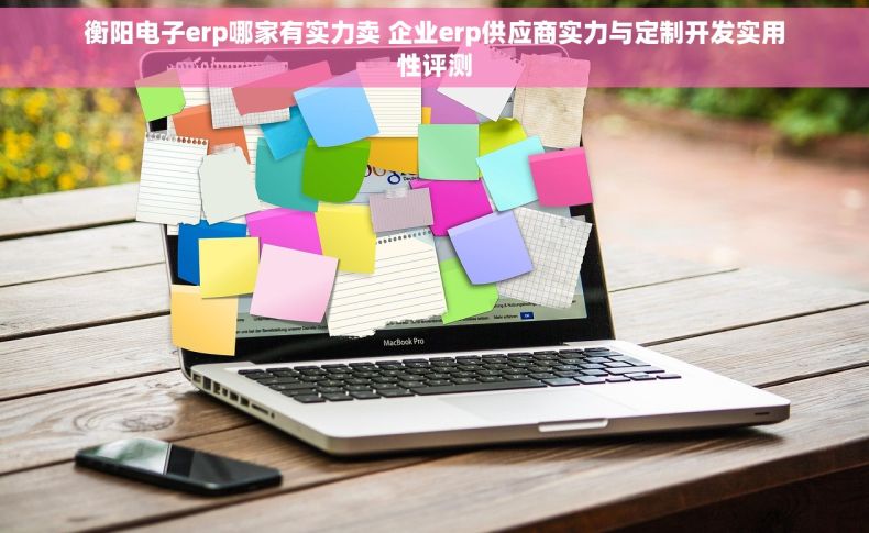 衡阳电子erp哪家有实力卖 企业erp供应商实力与定制开发实用性评测 衡阳电子erp哪家有实力卖 企业erp供应商实力与定制开发实用性评测